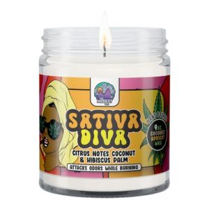 Modest & Co Odour Killing Candle 255g
