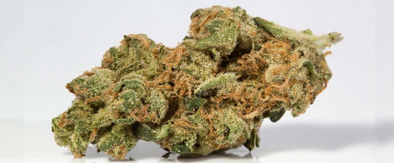 [REVIEW] Sour Diesel Weed: Genetics, Terpenes, & Effects