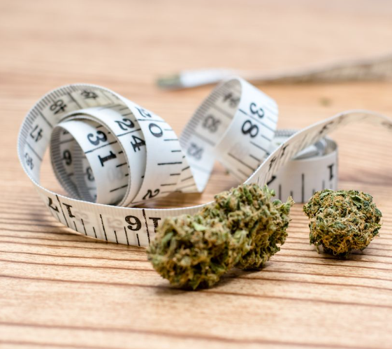 Unravel the Role of Cannabis in Your Weight Loss Journey: Myth or Reality?