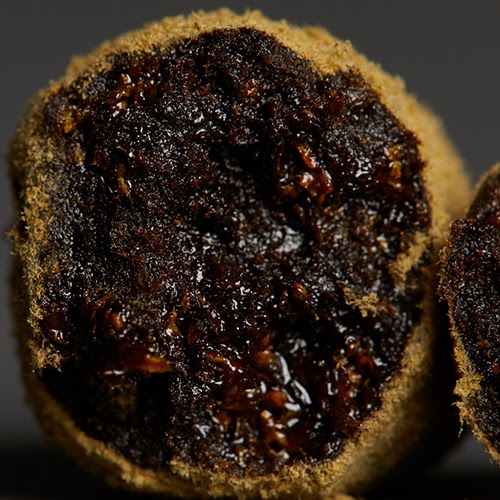Moon-Rocks-Inside